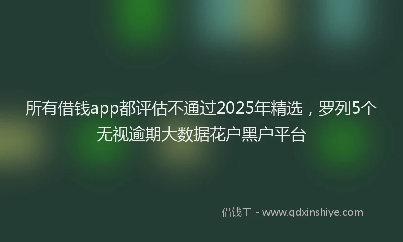 所有借钱app都评估不通过2025年精选，罗列5个无视逾期大数据花户黑户平台