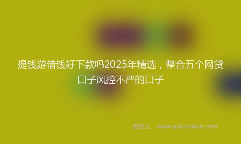 提钱游借钱好下款吗2025年精选，整合五个网贷口子风控不严的口子