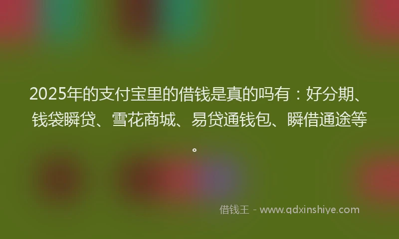 2025年的支付宝里的借钱是真的吗有：好分期、钱袋瞬贷、雪花商城、易贷通钱包、瞬借通途等。