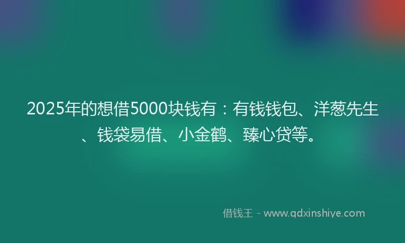 2025年的想借5000块钱有：有钱钱包、洋葱先生、钱袋易借、小金鹤、臻心贷等。