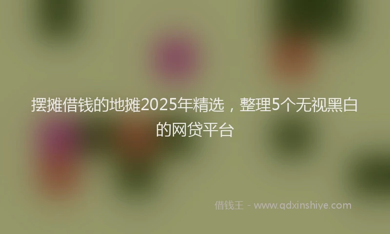 摆摊借钱的地摊2025年精选，整理5个无视黑白的网贷平台