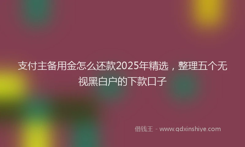 支付主备用金怎么还款2025年精选，整理五个无视黑白户的下款口子