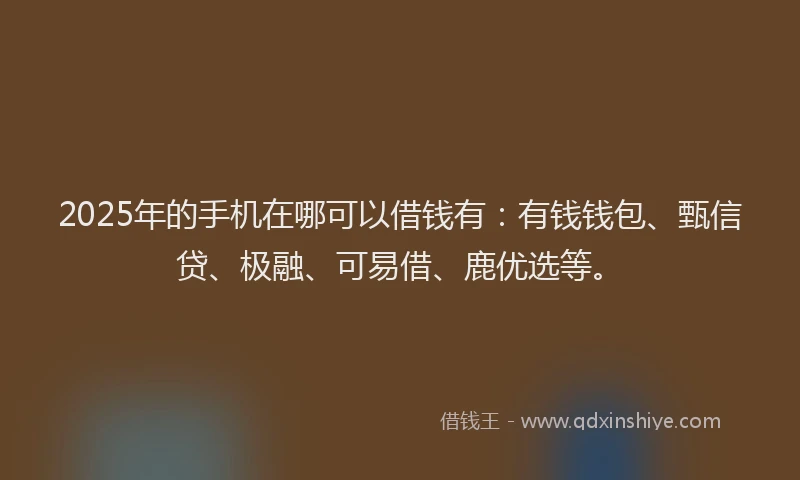 2025年的手机在哪可以借钱有：有钱钱包、甄信贷、极融、可易借、鹿优选等。