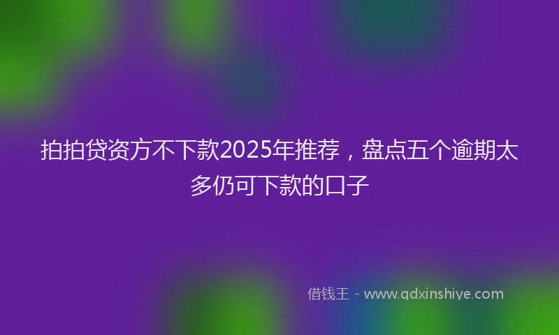 拍拍贷资方不下款2025年推荐，盘点五个逾期太多仍可下款的口子