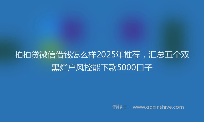 拍拍贷微信借钱怎么样2025年推荐，汇总五个双黑烂户风控能下款5000口子