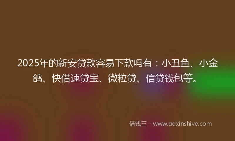 2025年的新安贷款容易下款吗有：小丑鱼、小金鸽、快借速贷宝、微粒贷、信贷钱包等。