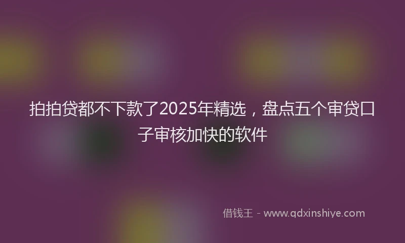 拍拍贷都不下款了2025年精选，盘点五个审贷口子审核加快的软件