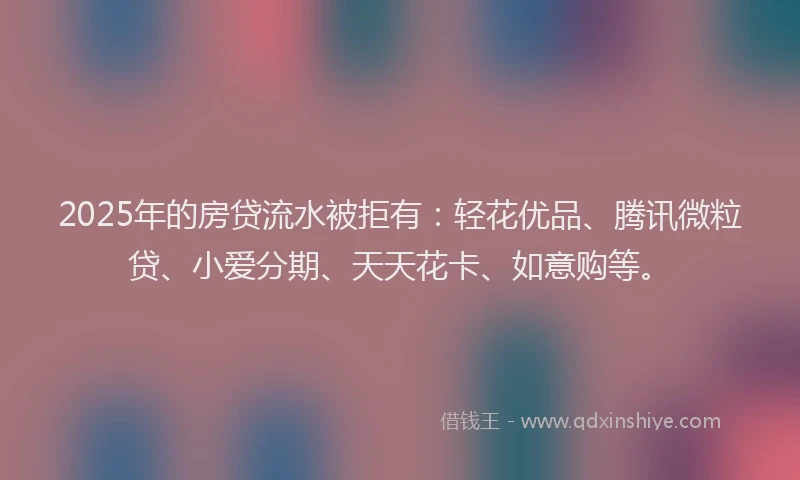 2025年的房贷流水被拒有：轻花优品、腾讯微粒贷、小爱分期、天天花卡、如意购等。