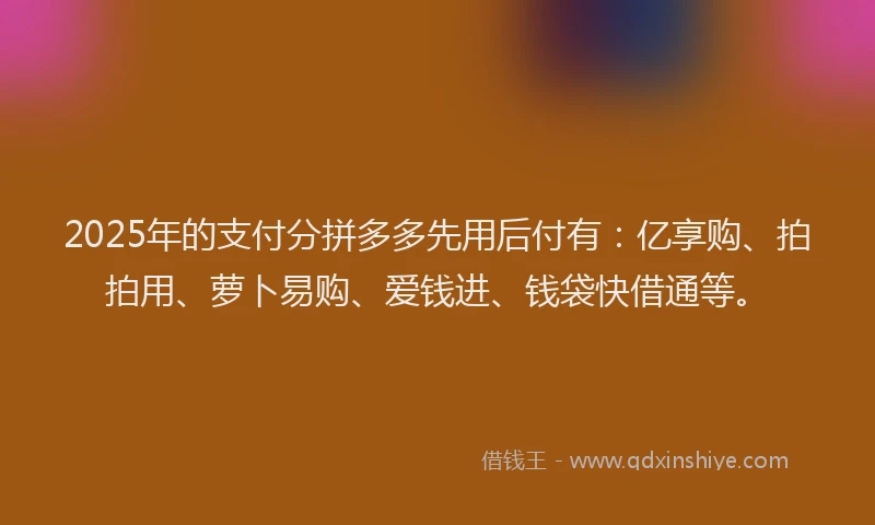 2025年的支付分拼多多先用后付有：亿享购、拍拍用、萝卜易购、爱钱进、钱袋快借通等。