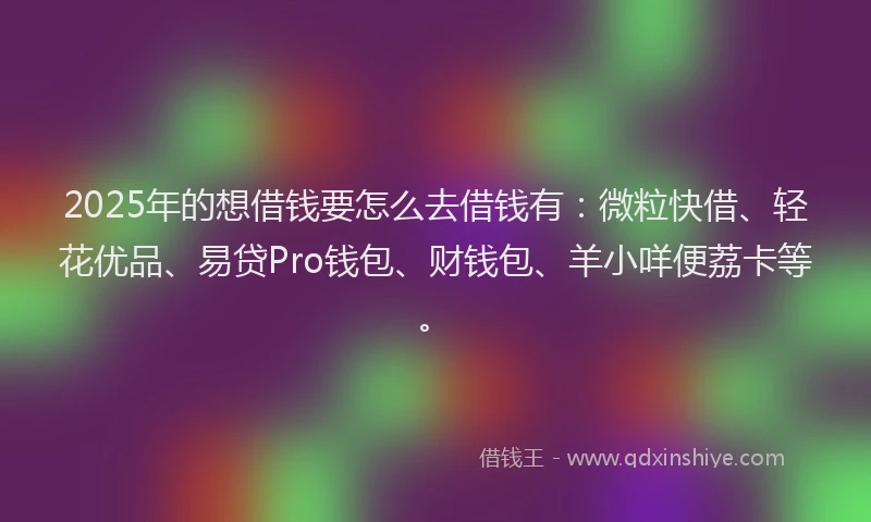 2025年的想借钱要怎么去借钱有：微粒快借、轻花优品、易贷Pro钱包、财钱包、羊小咩便荔卡等。