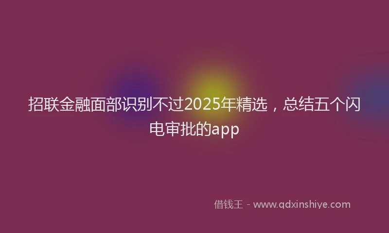 招联金融面部识别不过2025年精选，总结五个闪电审批的app