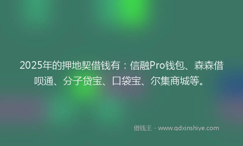 2025年的押地契借钱有：信融Pro钱包、森森借呗通、分子贷宝、口袋宝、尔集商城等。