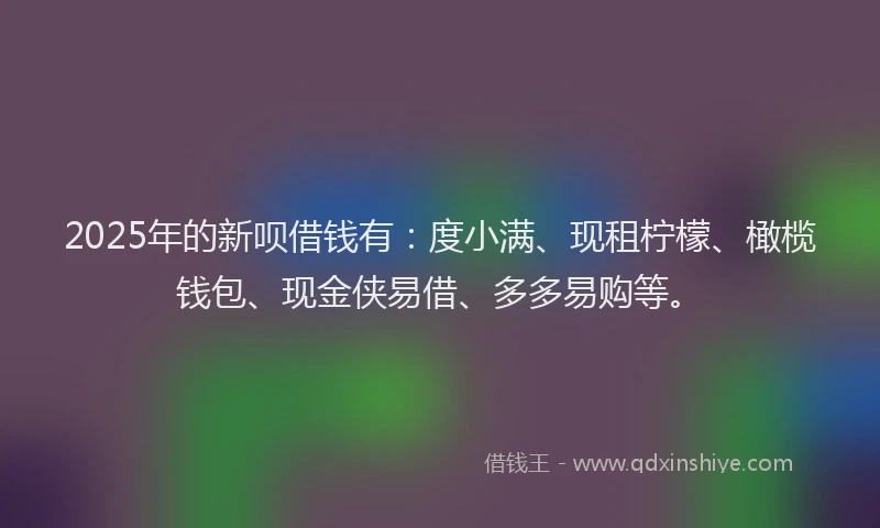 2025年的新呗借钱有：度小满、现租柠檬、橄榄钱包、现金侠易借、多多易购等。