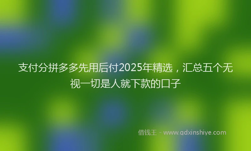 支付分拼多多先用后付2025年精选，汇总五个无视一切是人就下款的口子