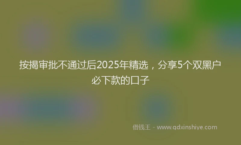 按揭审批不通过后2025年精选,分享5个双黑户必下款的口子