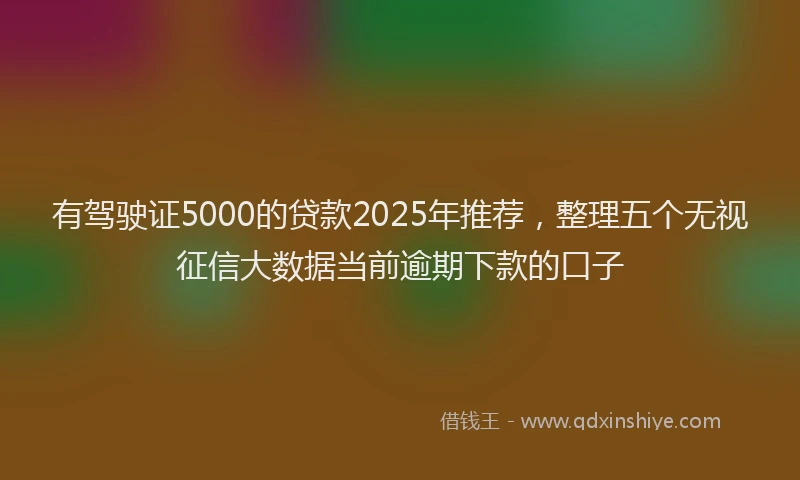 有驾驶证5000的贷款2025年推荐，整理五个无视征信大数据当前逾期下款的口子