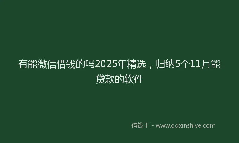 有能微信借钱的吗2025年精选，归纳5个11月能贷款的软件