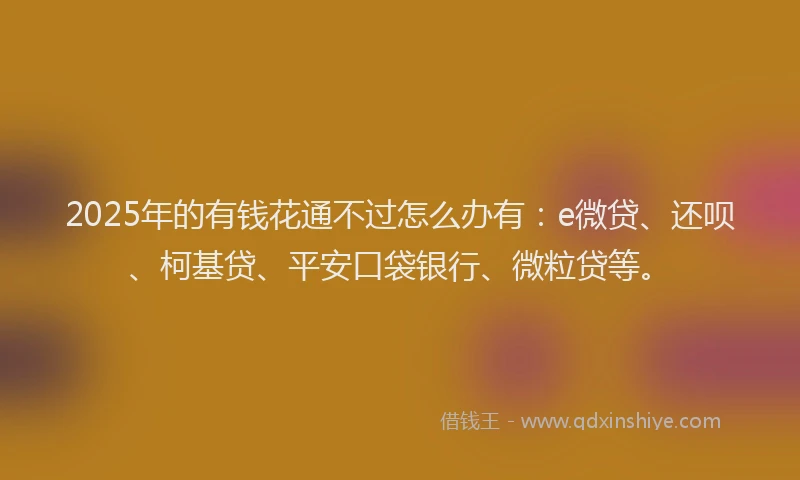 2025年的有钱花通不过怎么办有：e微贷、还呗、柯基贷、平安口袋银行、微粒贷等。