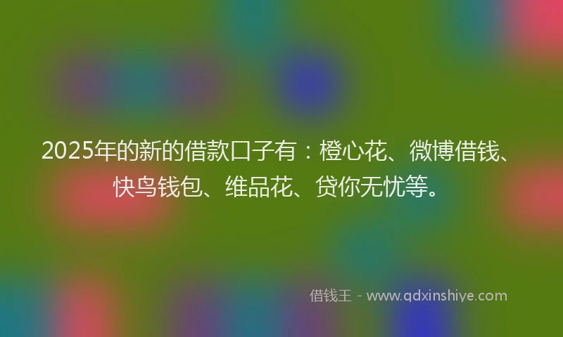 2025年的新的借款口子有：橙心花、微博借钱、快鸟钱包、维品花、贷你无忧等。
