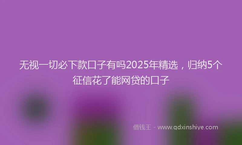 无视一切必下款口子有吗2025年精选，归纳5个征信花了能网贷的口子