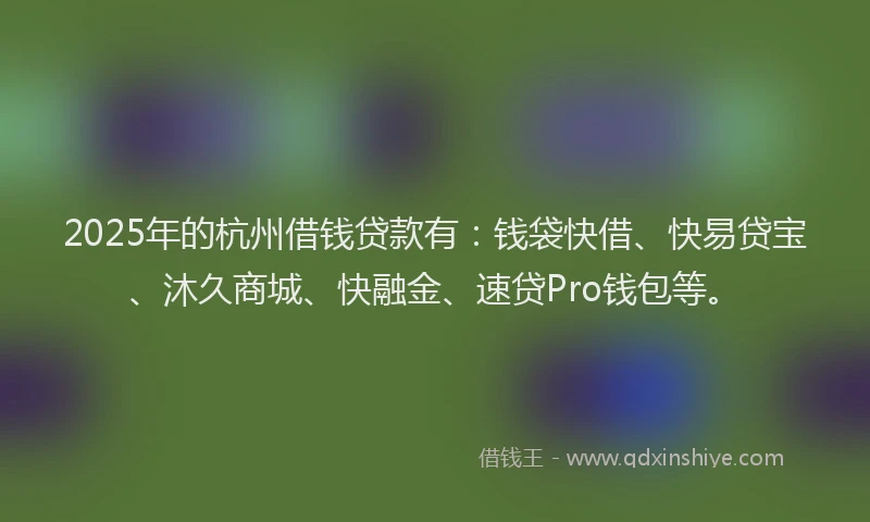 2025年的杭州借钱贷款有：钱袋快借、快易贷宝、沐久商城、快融金、速贷Pro钱包等。