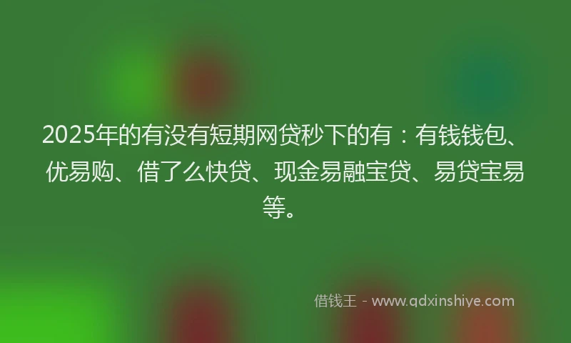2025年的有没有短期网贷秒下的有：有钱钱包、优易购、借了么快贷、现金易融宝贷、易贷宝易等。