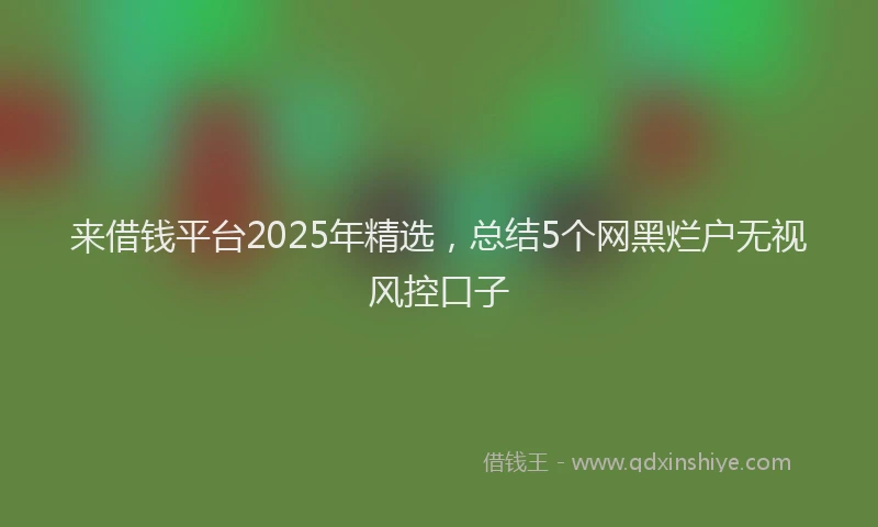 来借钱平台2025年精选，总结5个网黑烂户无视风控口子