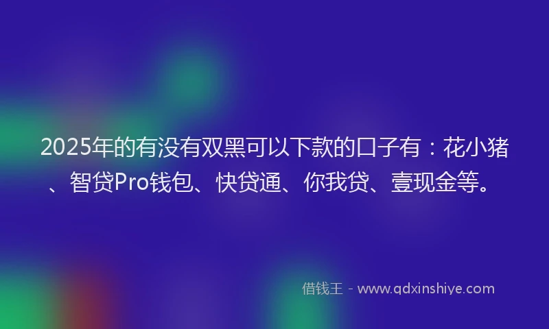 2025年的有没有双黑可以下款的口子有：花小猪、智贷Pro钱包、快贷通、你我贷、壹现金等。