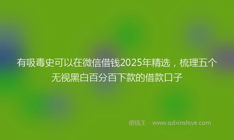 有吸毒史可以在微信借钱2025年精选，梳理五个无视黑白百分百下款的借款口子