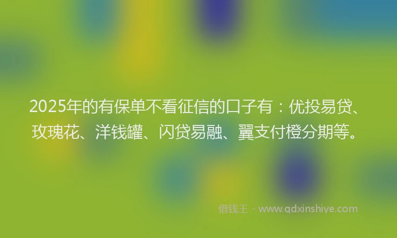 2025年的有保单不看征信的口子有：优投易贷、玫瑰花、洋钱罐、闪贷易融、翼支付橙分期等。