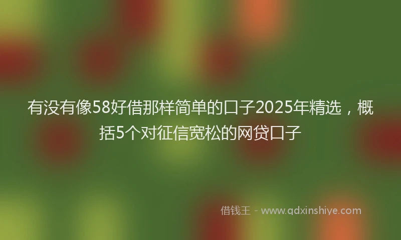 有没有像58好借那样简单的口子2025年精选，概括5个对征信宽松的网贷口子