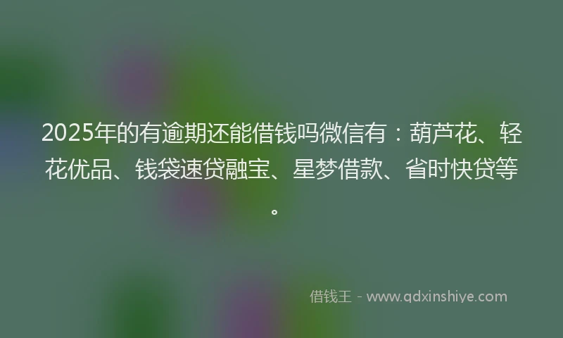2025年的有逾期还能借钱吗微信有：葫芦花、轻花优品、钱袋速贷融宝、星梦借款、省时快贷等。