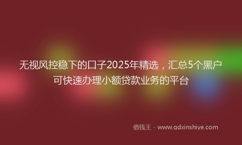 无视风控稳下的口子2025年精选，汇总5个黑户可快速办理小额贷款业务的平台