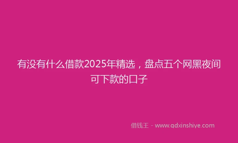 有没有什么借款2025年精选，盘点五个网黑夜间可下款的口子
