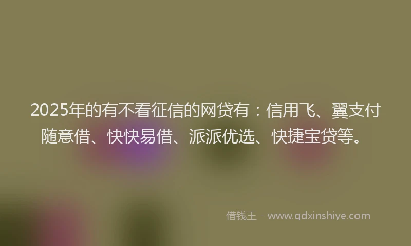2025年的有不看征信的网贷有：信用飞、翼支付随意借、快快易借、派派优选、快捷宝贷等。