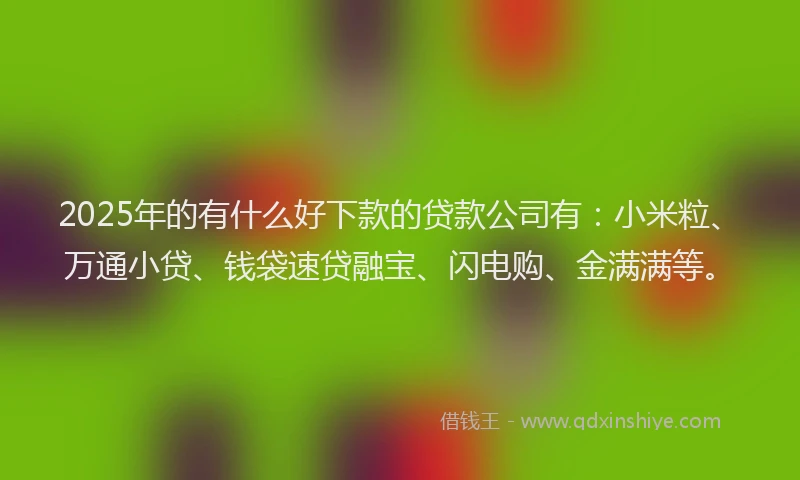 2025年的有什么好下款的贷款公司有：小米粒、万通小贷、钱袋速贷融宝、闪电购、金满满等。