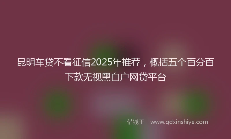 昆明车贷不看征信2025年推荐，概括五个百分百下款无视黑白户网贷平台