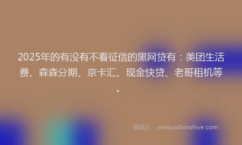 2025年的有没有不看征信的黑网贷有：美团生活费、森森分期、京卡汇、现金快贷、老哥租机等。