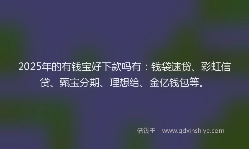 2025年的有钱宝好下款吗有：钱袋速贷、彩虹信贷、甄宝分期、理想给、金亿钱包等。
