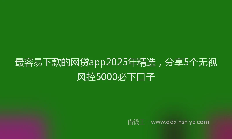 最容易下款的网贷app2025年精选，分享5个无视风控5000必下口子