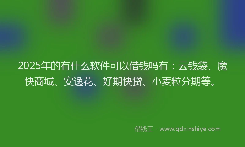 2025年的有什么软件可以借钱吗有：云钱袋、魔快商城、安逸花、好期快贷、小麦粒分期等。