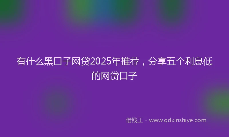 有什么黑口子网贷2025年推荐，分享五个利息低的网贷口子