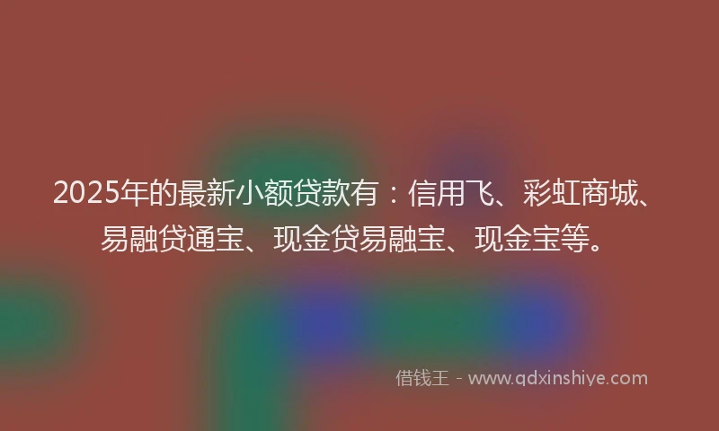 2025年的最新小额贷款有：信用飞、彩虹商城、易融贷通宝、现金贷易融宝、现金宝等。