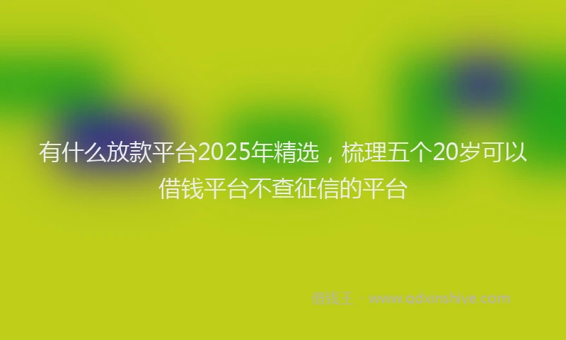 有什么放款平台2025年精选，梳理五个20岁可以借钱平台不查征信的平台