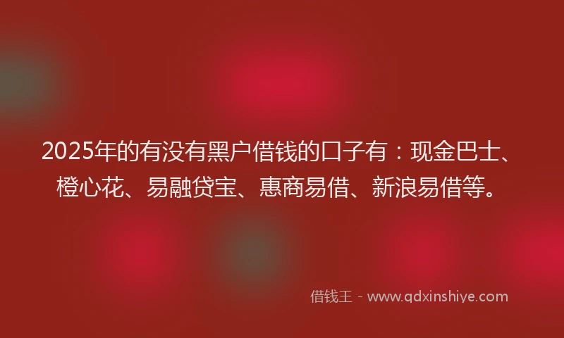 2025年的有没有黑户借钱的口子有：现金巴士、橙心花、易融贷宝、惠商易借、新浪易借等。
