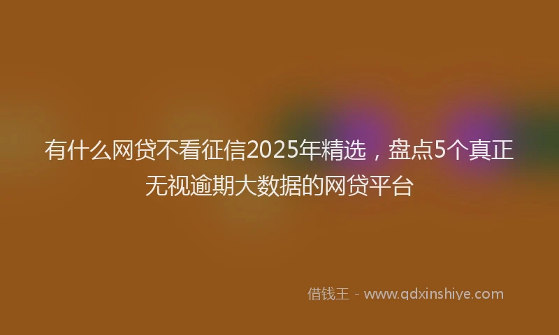 有什么网贷不看征信2025年精选，盘点5个真正无视逾期大数据的网贷平台