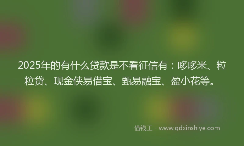2025年的有什么贷款是不看征信有：哆哆米、粒粒贷、现金侠易借宝、甄易融宝、盈小花等。