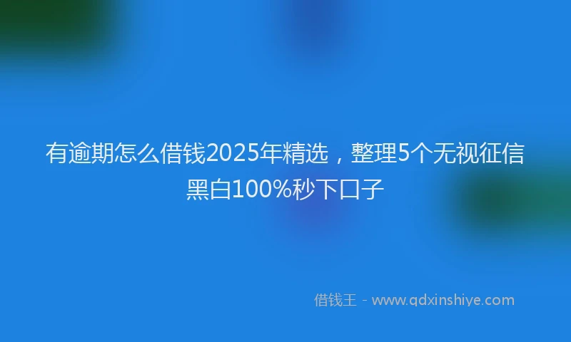 有逾期怎么借钱2025年精选，整理5个无视征信黑白100%秒下口子