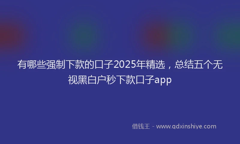 有哪些强制下款的口子2025年精选，总结五个无视黑白户秒下款口子app