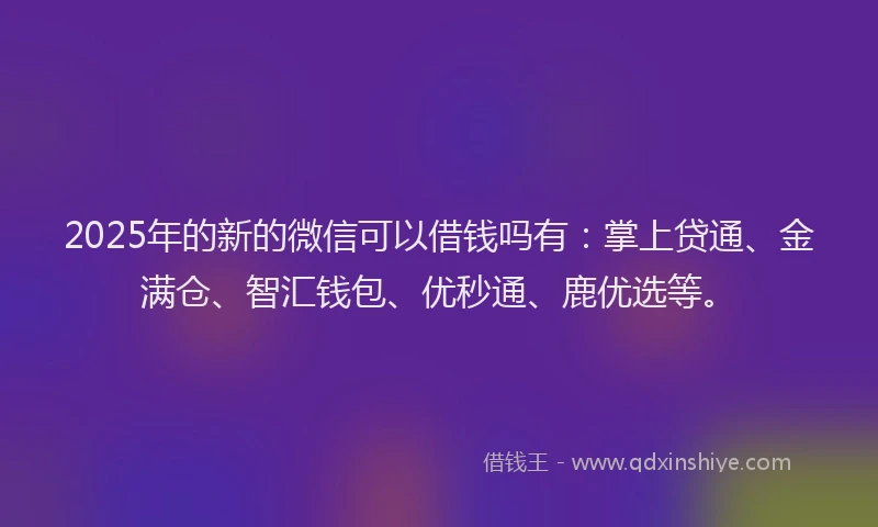 2025年的新的微信可以借钱吗有：掌上贷通、金满仓、智汇钱包、优秒通、鹿优选等。